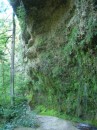 DSCN0367 * 360 x 480 * (40KB)
