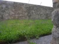 DSCN1418 